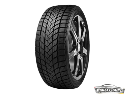 Delinte Winter WD6 225/55 R16 99V
