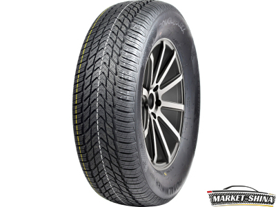 Royal Black Royal Winter HP 205/70 R15 96T