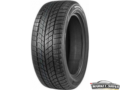 Double Star DW09 245/45 R18 100V