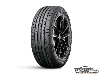 Double Star DH08 195/55 R15 85V