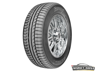 Gripmax Stature H/T 245/50 R20 102V
