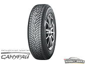 BluEarth*Winter V905