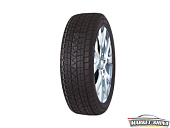 WINTER PRO TSS1